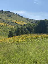 View of mountain background