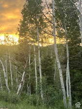 View of undeveloped land