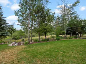 View of grassy yard