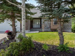 Obstructed view of property featuring a front lawn, stone siding, and a shingled roof