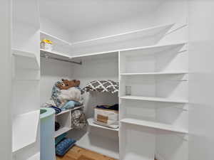 Spacious closet with wood finished floors