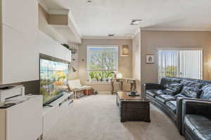 Living area featuring carpet floors and crown molding