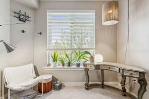 Sitting room featuring carpet flooring and plenty of natural light