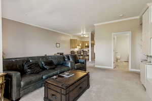 Living area with light colored carpet and ornamental molding