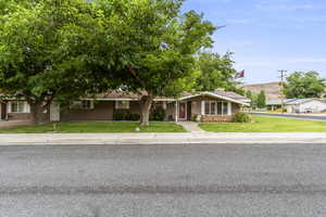 Ranch-style house featuring a front yard and stucco siding