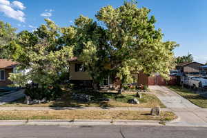 Front of home with mature shade trees