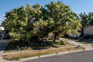 Obstructed view of property featuring driveway
