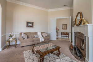 Living area with carpet, crown molding, and a premium fireplace