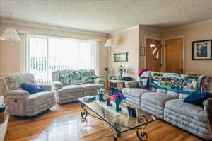 Living room with wood finished floors, ornamental molding, and a textured ceiling