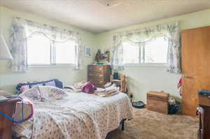 Carpeted bedroom featuring multiple windows and a textured ceiling
