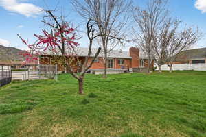 Huge fully-fenced back yard, great for pets, kids, or entertaining.