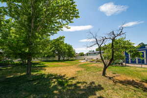 Large fenced backyard with mature fruit trees, a new shed, patio with built-in propane fire pit