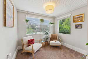 Sitting room featuring carpet flooring