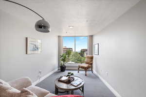 Living area with carpet and a textured ceiling