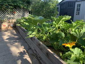 Exterior view of a garden