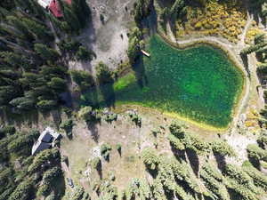 Ariel view of pond