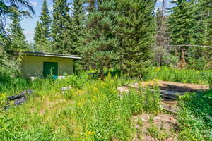 View of yard featuring a wooded view and a storage unit