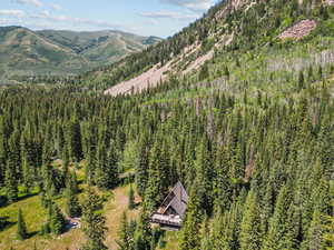 View of mountain backdrop with a heavily wooded area