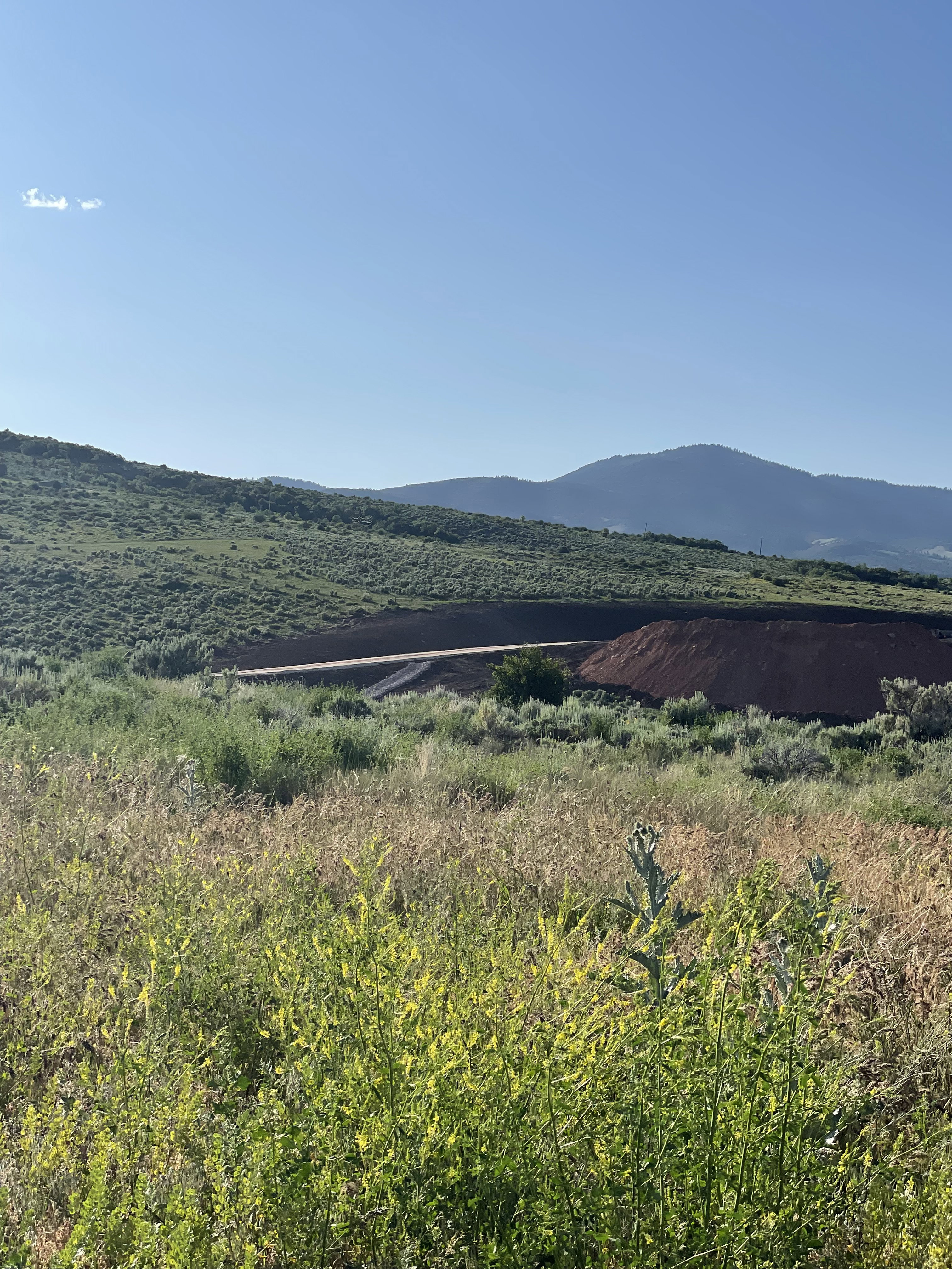 View of new access road looking to the west