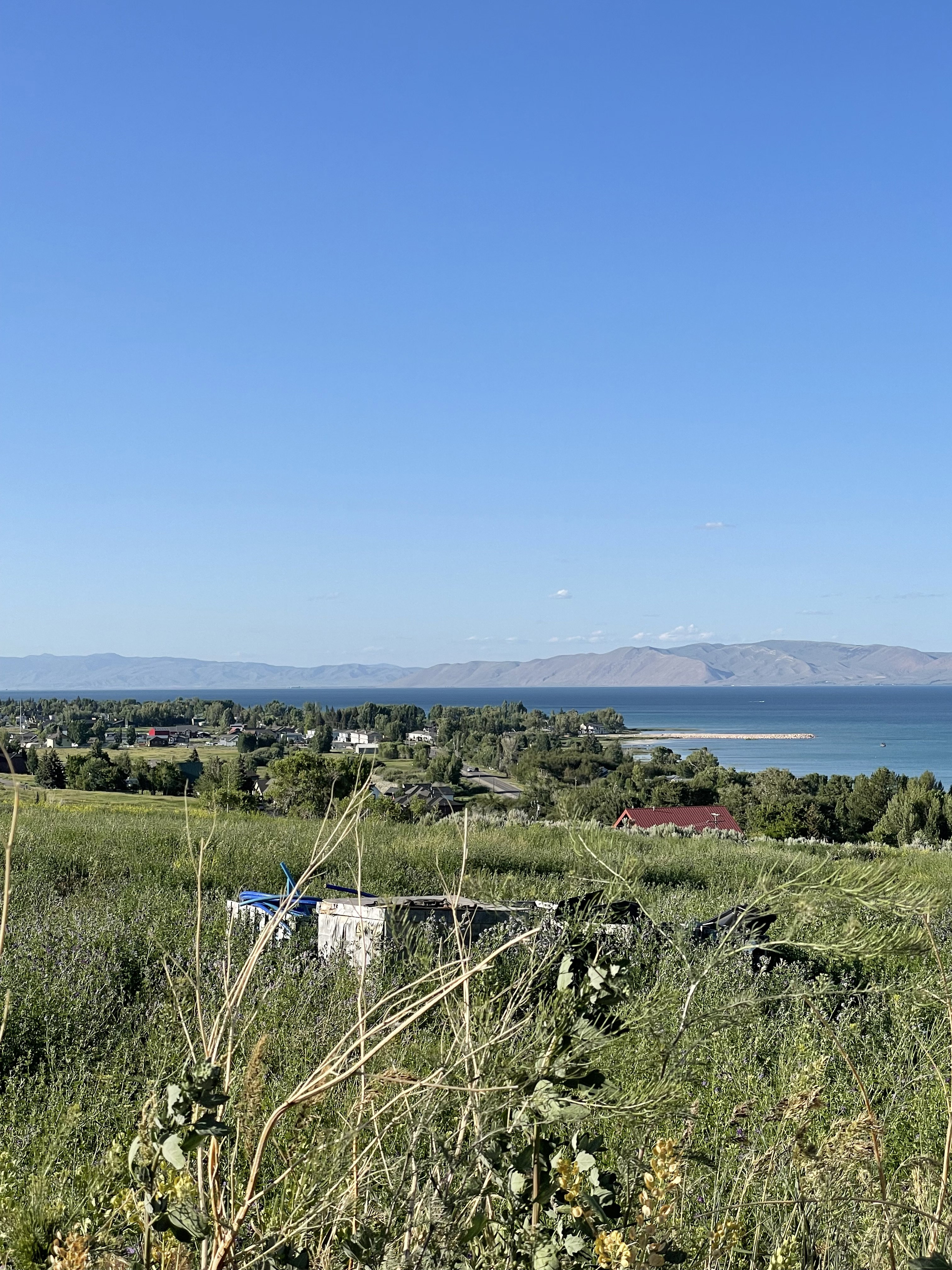View looking to the north and east side of the lake