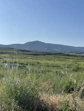 Mountain view featuring rural landscape