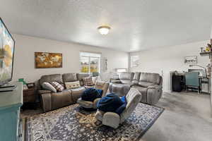 Living room featuring carpet floors and a textured ceiling