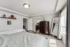 Bedroom with light carpet, a tray ceiling, and ensuite bath