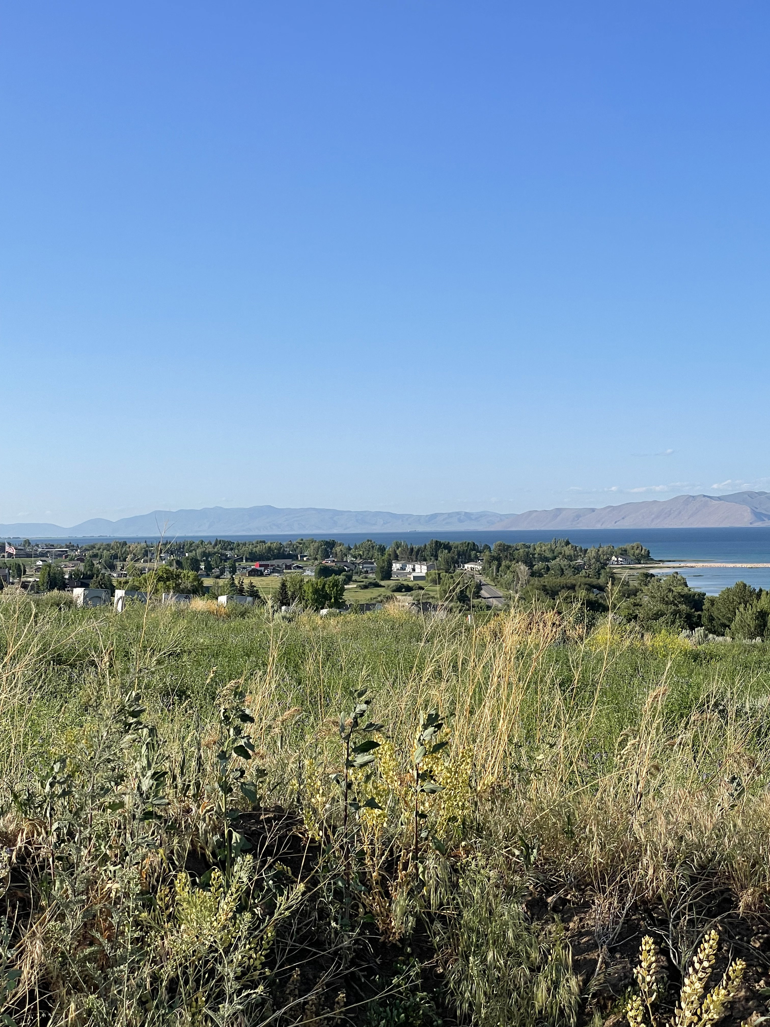 View facing the north with a  a mountain backdrop