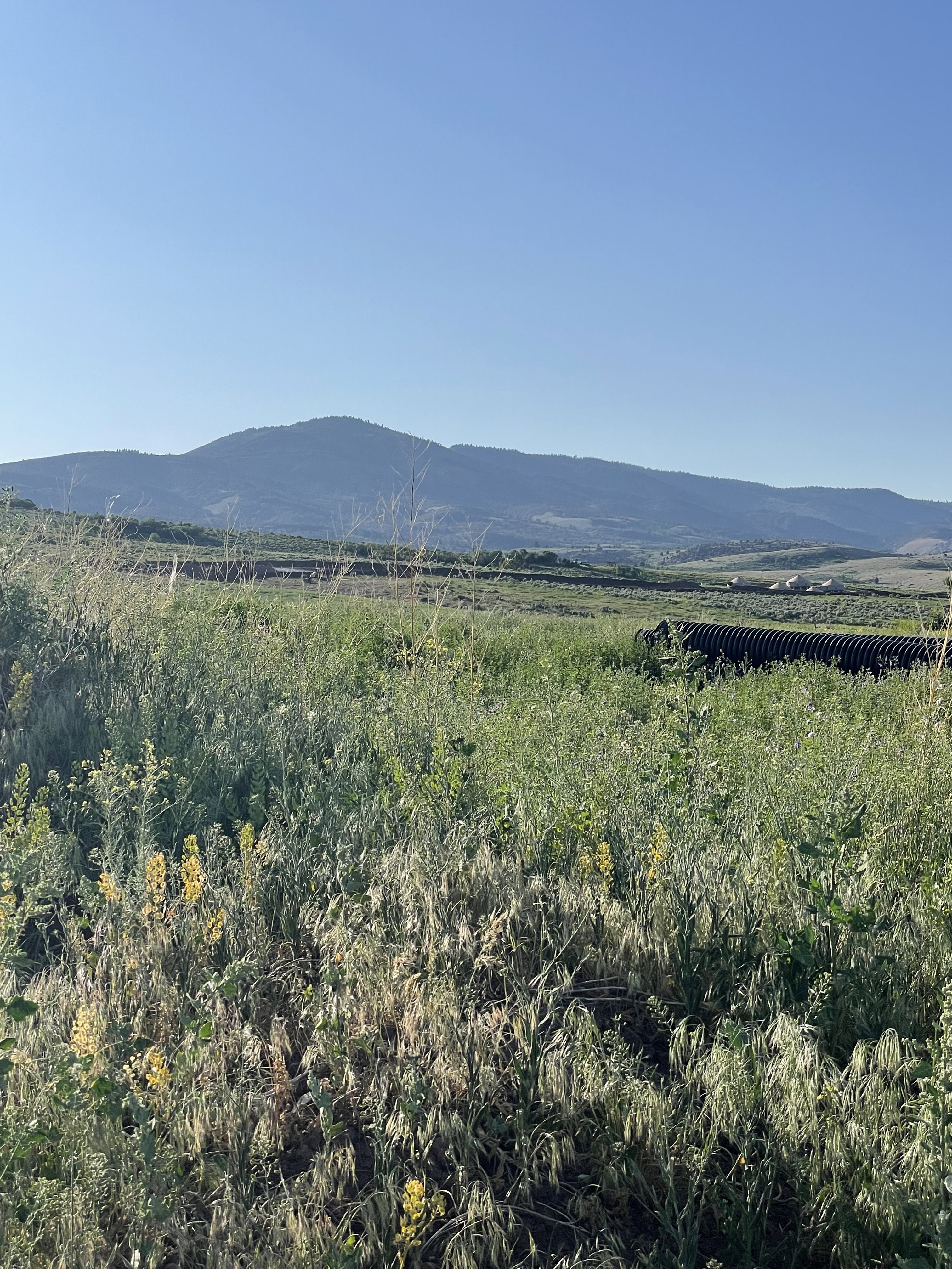 View of mountain background with rural landscape