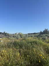 View of undeveloped land