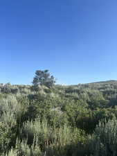 View of undeveloped land