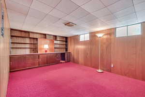 Below grade area featuring wood walls and carpet flooring