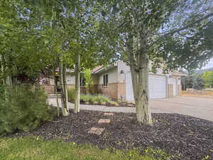 View of property hidden behind natural elements featuring brick siding, concrete driveway, and a garage