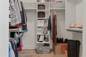 Walk in closet featuring light wood-style flooring
