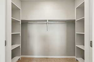 Spacious closet with carpet