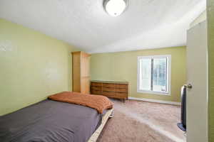 Bedroom with carpet flooring, a textured ceiling, and lofted ceiling