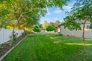View of fenced backyard