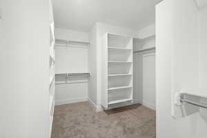 Primary Walk-in closet