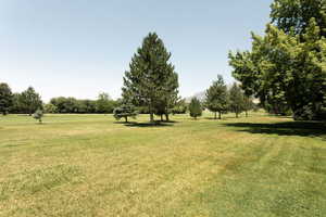 View of green lawn featuring a mountain view