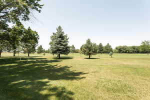 View of green lawn