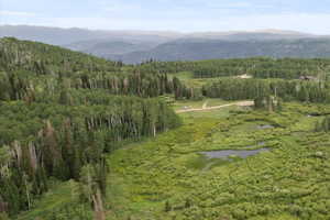 View of Mountain Backdrop with Wooded Area