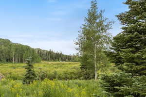 View From Back of Lot