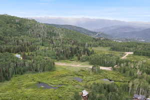 Partial View of Over 6 Acres of Common Area
