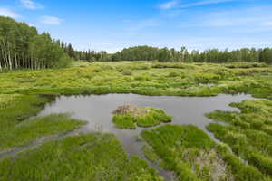 Close Up of Meadow with Water View Visible From Lot
