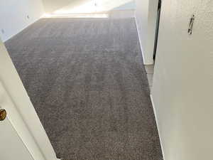 Detailed view of carpet flooring