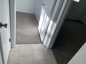 Detailed view of carpet