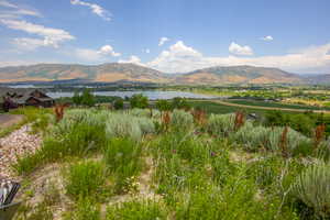 Top of lot towards Pineview