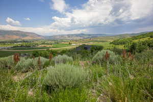 Northeast View of mountain backdrop