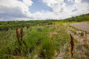 Top west side of lot with southern view