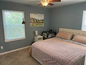 Carpeted bedroom featuring multiple windows and a ceiling fan